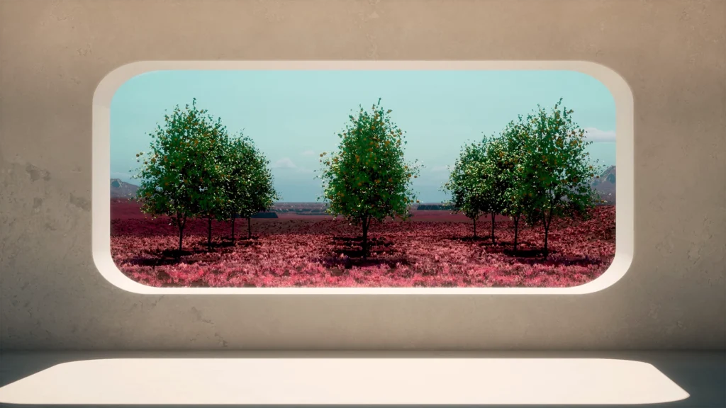 Finestra che da su un campo ricco di alberi ordinati in file, render 3D